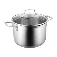 Pyrolux Radius 85 22cm Stainless Steel Stockpot