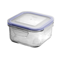 480ml Tempered Glass Food Container