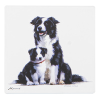 Puppy Love Collection Border Collie 10cm Square Ceramic Coaster