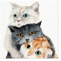 3-ply Tissue Better Together Napkin 33 x 33cm (Pack of 20)