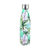 Stainless Steel Double Wall Insulated Drink Bottle 500ml