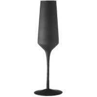 Aurora Set of 2 Matte Black 225ml Champagne Glasses
