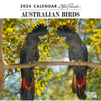Australian Birds Mini Wall 2024 Calendar