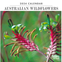 Australian Wildflowers Mini Wall 2024 Calendar