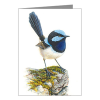 Blue Wren Blank Card