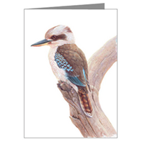 Kookaburra Blank Card
