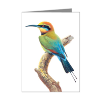 Rainbow Bird Blank Card