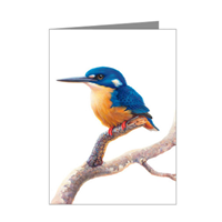 Azure Kingfisher Blank Card