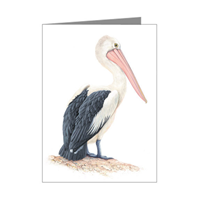 Pelican Blank Card