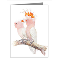Pink Cockatoo Blank Card