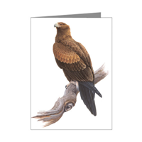 Wedge-tailed Eagle Blank Card
