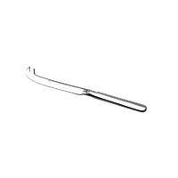 Madison Stainless Steel Cheese Knife