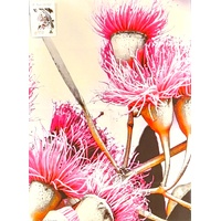 De-Anne Strange Flowering Gum Cotton Tea Towel