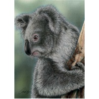 David Higgins 'Koala' Cotton Tea Towel
