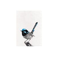 Marini Ferlazzo Australian Birdlife 50 x 70cm Tea Towels