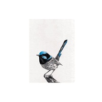 Marini Ferlazzo Superb Fairy Wren 50 x 70cm Tea Towel