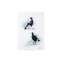 Katherine Castle Bird Life Australian Magpie 50 x 70cm Cotton Tea Towel