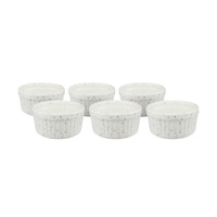 Speckle Set of 6 Ramekins