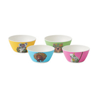 Maxwell & Williams Marini Ferlazzo Wild Planet Set of 4 Assorted 14.5cm Bowls