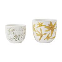 Maxwell & Williams Royal Botanic Gardens Australian Orchids Set of 2 Yellow/White Planter Pots