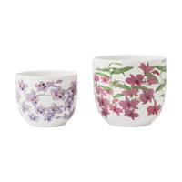 Maxwell & Williams Royal Botanic Gardens Australian Orchids Set of 2 Pink/Lilac Planter Pots