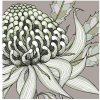 Large Australian Native Plant Greeting Cards