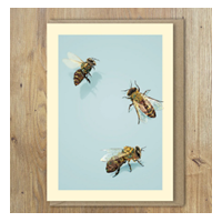 Marini Ferlazzo Honey Bees Greeting Card