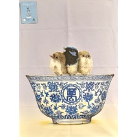 Michaela Laurie Superb Fairy Wrens on Bowl Cotton Tea Towel