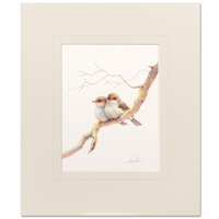 Young Blue Wrens Mounted Print