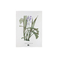 Maxwell & Williams Royal Botanic Gardens Lilac Australian Orchids 50 x 70cm Cotton Tea Towel