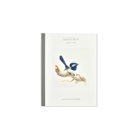 Superb Blue Wren Notepad