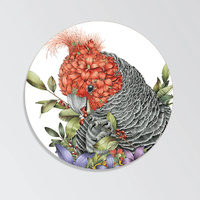 Marini Ferlazzo Gang-gang Cockatoo 10.5cm Round Coaster