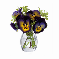 Dartington Crystal Florabundance 9cm Pansy Vase
