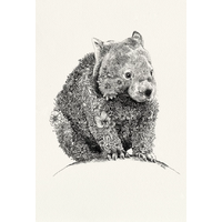 Giclée 210 x 210 Wombat Print - Unframed
