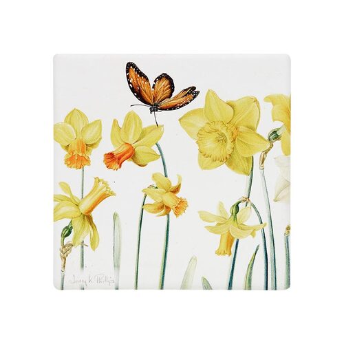 Jenny Phillips Daffodils Ceramic Coaster