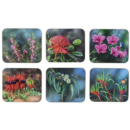 Ashdene Botanical Emblems of Australia Set of 6 Assorted Coasters