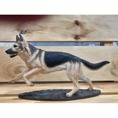 Border Fine Arts German Shepherd A20114