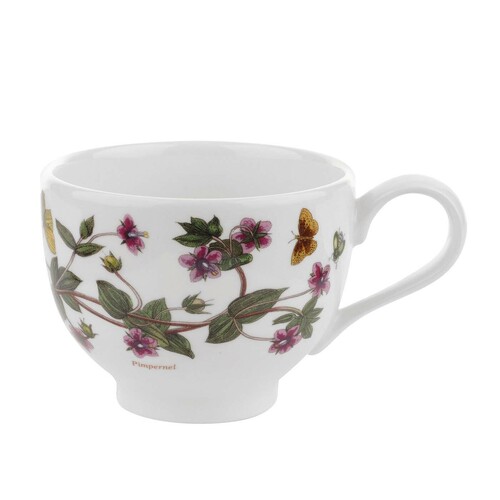 Portmeirion Botanic Garden Pimpernel 200ml Cup & Saucer