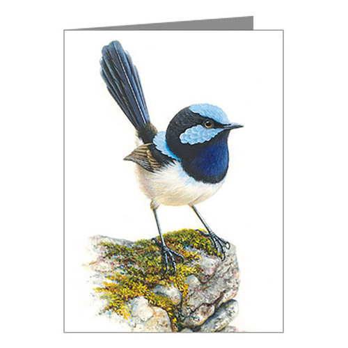 Blue Wren Blank Card