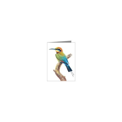 Rainbow Bird Blank Card