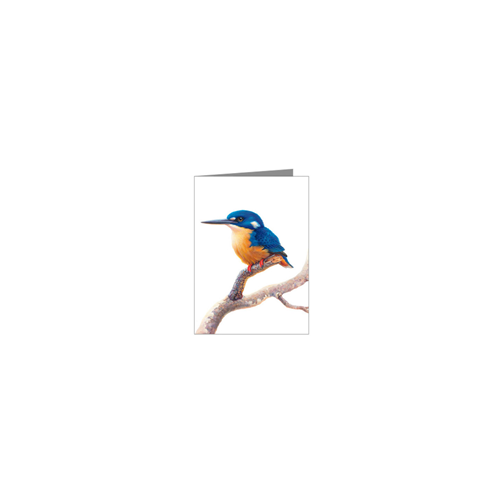 Azure Kingfisher Blank Card