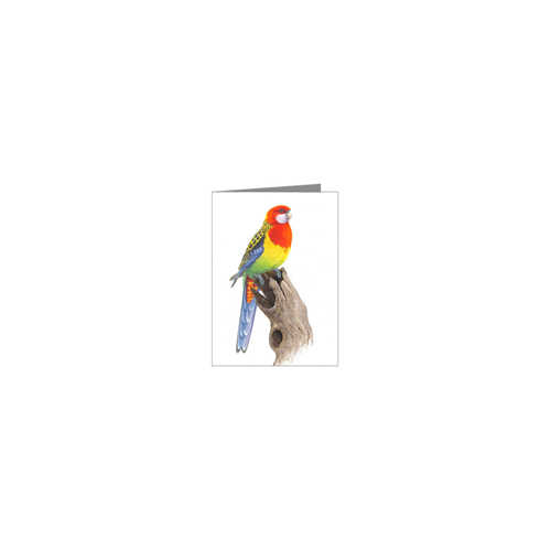 Jeremy Boot Eastern Rosella Blank Card