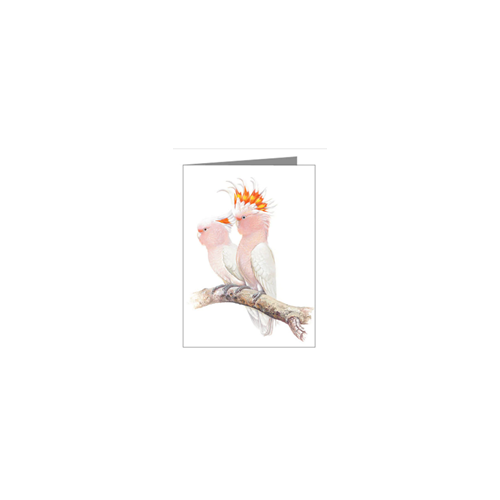 Pink Cockatoo Blank Card