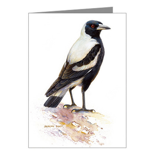 Magpie Blank Card