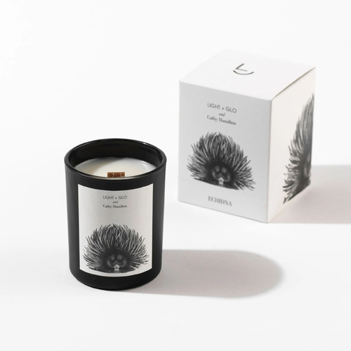 Light & Glo Cathy Hamilton Echidna 200g Soy Wax/Wood Wick Candle