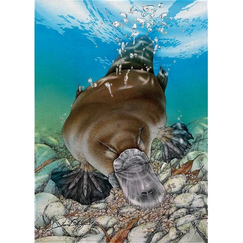 David Higgins 'Platypus' Cotton Tea Towel