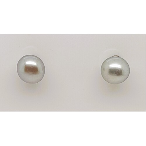 9 Carat Yellow Gold Grey 4mm Freshwater Pearl Button Stud Earrings CLEARANCE