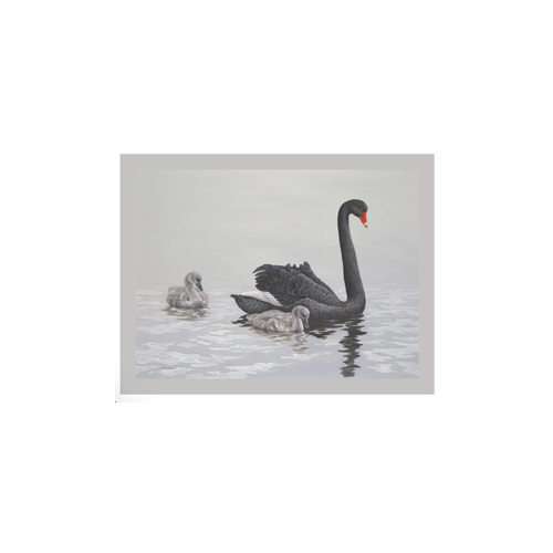 Jeremy Boot Black Swan Blank Card