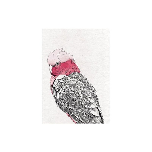 Marini Ferlazzo Galah 50 x 70cm Tea Towel