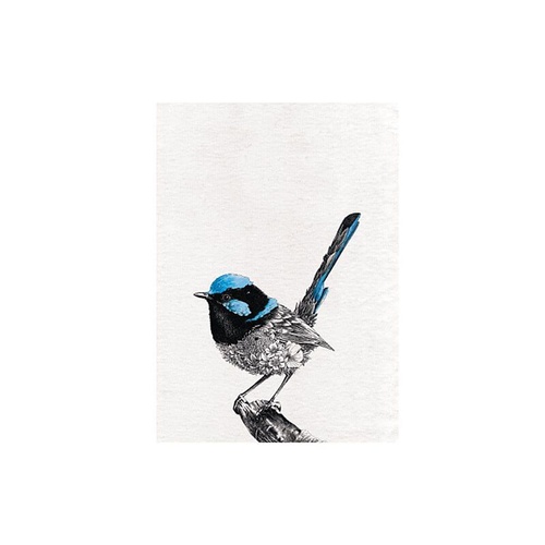 Marini Ferlazzo Superb Fairy Wren 50 x 70cm Tea Towel